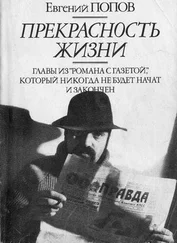 Евгений Попов - Прекрасность жизни. Роман-газета.