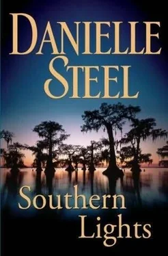 Danielle Steel Southern Lights обложка книги