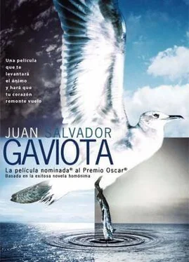 Richard Bach Juan Salvador Gaviota обложка книги