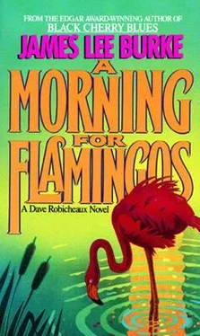 James Burke A Morning for Flamingos обложка книги