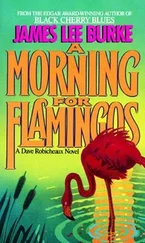 James Burke - A Morning for Flamingos