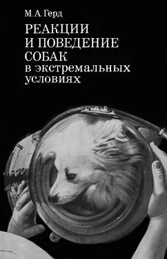 Мария Герд Реакции и поведение собак в экстремальных условиях обложка книги