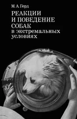 Мария Герд - Реакции и поведение собак в экстремальных условиях