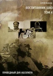 Сергей Разбоев - Воспитанник Шао. Том 4. Праведный Дух Абсолюта