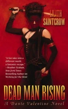 Lilith Saintcrow Dead Man Rising обложка книги