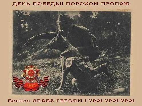 Двадцать лет передышки между войнами не прошли для собак впустую Вдохновленные - фото 10