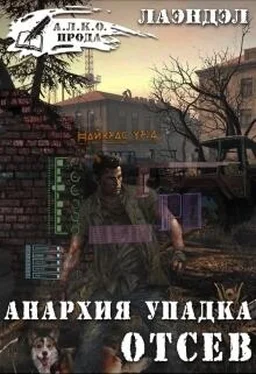 Алексей Андриенко Анархия упадка. Отсев обложка книги