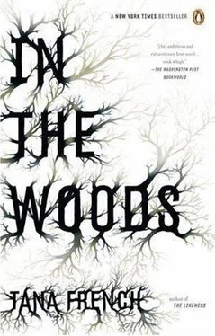 Tana French In the Woods обложка книги