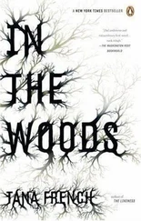 Tana French - In the Woods
