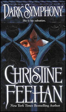 Christine Feehan Dark Symphony (Dark Series - book 10) обложка книги