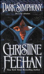Christine Feehan - Dark Symphony (Dark Series - book 10)