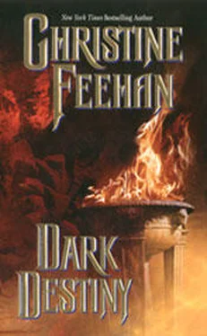 Christine Feehan Dark Destiny (Dark Series - book 13) обложка книги