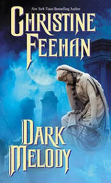 Christine Feehan Dark Melody (Dark Series - book 12) обложка книги