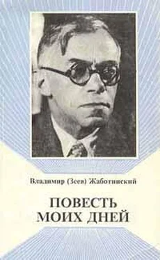 Владимир Жаботинский Слово о полку обложка книги