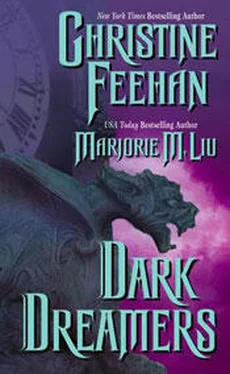 Christine Feehan Dark Dream (Dark Series - book 7) обложка книги