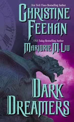 Christine Feehan - Dark Dream (Dark Series - book 7)