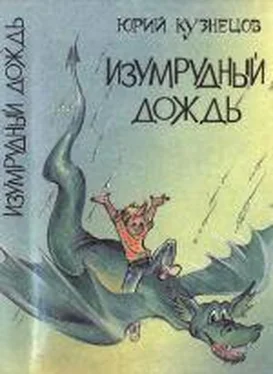 Юрий Кузнецов Изумрудный дождь обложка книги