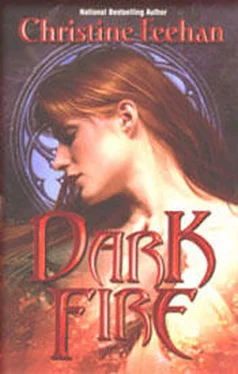 Christine Feehan Dark Fire (Dark Series - book 6) обложка книги