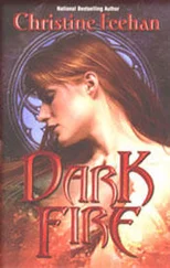 Christine Feehan - Dark Fire (Dark Series - book 6)