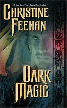 Christine Feehan Dark Magic (Dark Series - book 4) обложка книги