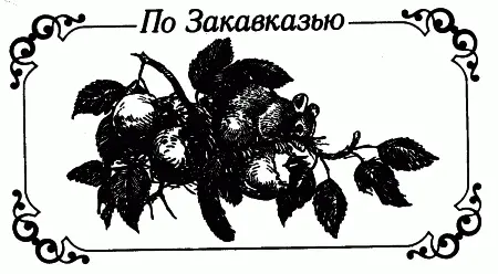 ОДИН ДЕНЬ В ЛЕНКОРАНИ Живописный портовый городок Ленкорань расположен в - фото 29