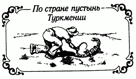 НА МАШИНЕ За свою жизнь я побывал в разнообразных уголках нашей Родины Но мне - фото 133