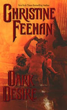 Christine Feehan Dark Desire (Dark Series - book 2) обложка книги