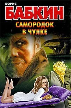 Борис Бабкин Самородок в чулке обложка книги