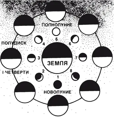 Рис 116 Схема фаз вращения Луны вокруг Солнца Так во время полнолуния - фото 131