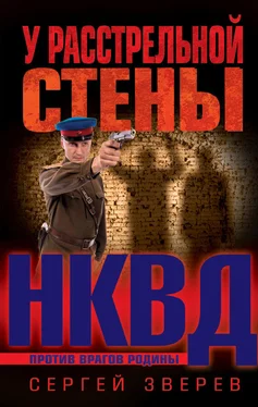 Сергей Зверев У расстрельной стены обложка книги