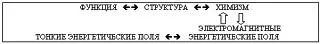 Схема 3 можно рассматривать в качестве модели живого организма клетки или - фото 3