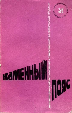 Неизвестный Автор Каменный Пояс, 1982 обложка книги