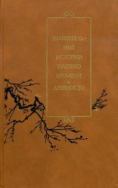 Неизвестный Автор Удивительные истории нашего времени и древности обложка книги