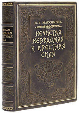 С. Максимов Нечистая сила обложка книги