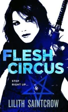 Lilith Saintcrow Flesh Circus обложка книги