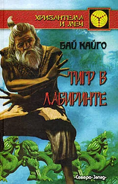 Б. Кайго Тигр в лабиринте обложка книги