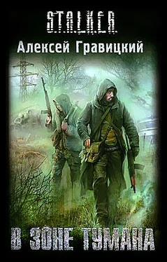 Алексей Гравицкий В зоне тумана обложка книги