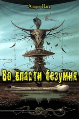Андрэ Пасс - Во Власти Безумия. Часть 1