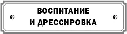 Друг детей Мастер внушений Мяугли повелитель котов Доктор Айболит Ноев ковчег - фото 17