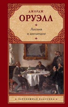 Джордж Оруэлл Англия и англичане [litres] обложка книги