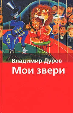 Владимир Дуров Мои звери обложка книги