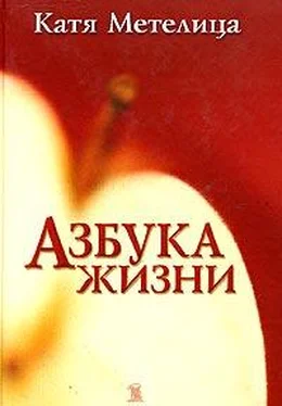 Катя Метелица Азбука жизни обложка книги