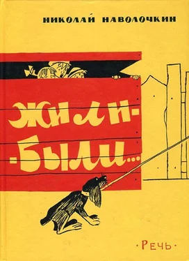 Николай Наволочкин Жили-были… обложка книги