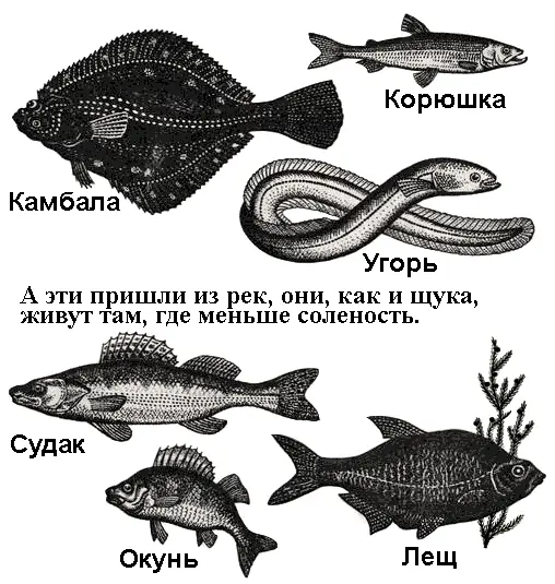 Ходят по палубе матросы стоят вахту дежурят у механизмов возятся около - фото 24