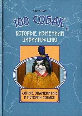 Сэм Столл 100 собак, которые изменили цивилизацию: Самые знаменитые в истории собаки обложка книги