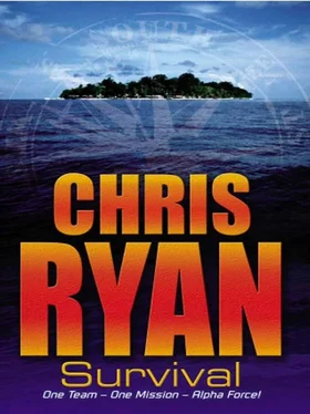 Chris Ryan Survival обложка книги