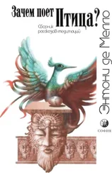 Энтони де Мелло - Зачем поет Птица?