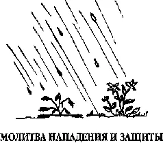 МОЛИТВА НАПАДЕНИЯ И ЗАЩИТЫ Католическая футбольная команда ехала на важную - фото 67