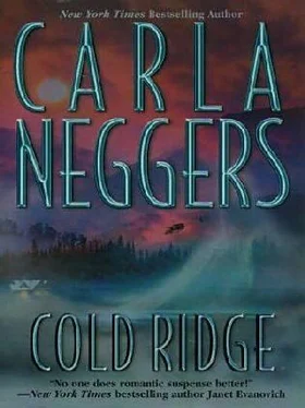 Carla Neggers Cold Ridge обложка книги