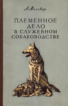 Александр Мазовер Племенное дело в служебном собаководстве обложка книги